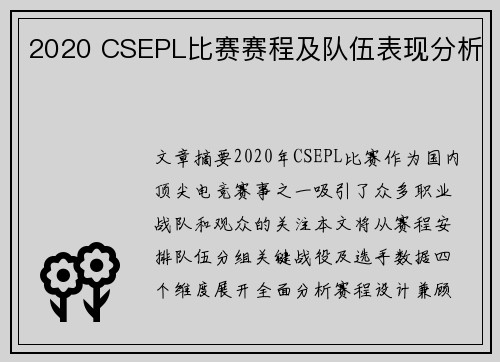 2020 CSEPL比赛赛程及队伍表现分析